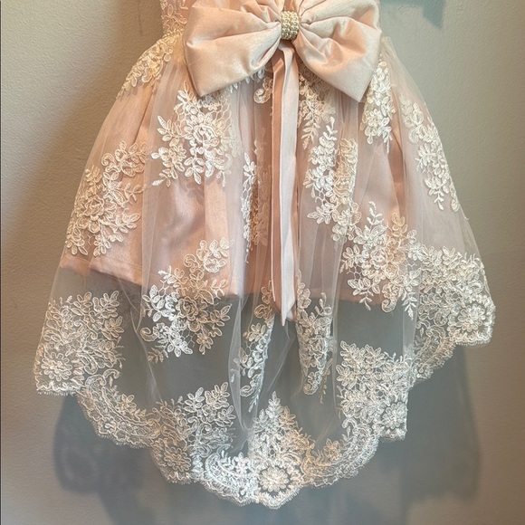 12 Months Sequin and Lace Pink Dress with Floral Embroidery Train Pearl Belt - Picture 7 of 16